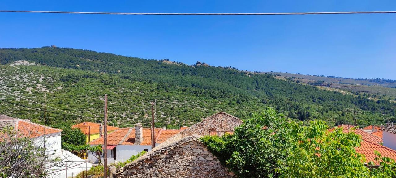 Stella House Theologos (Thasos) Exterior foto