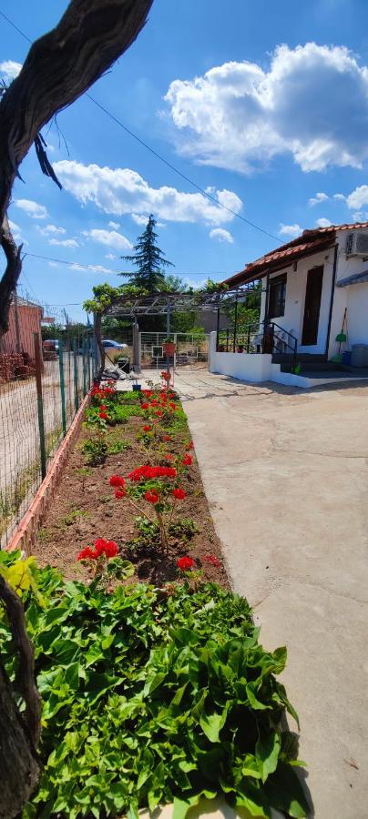 Stella House Theologos (Thasos) Exterior foto